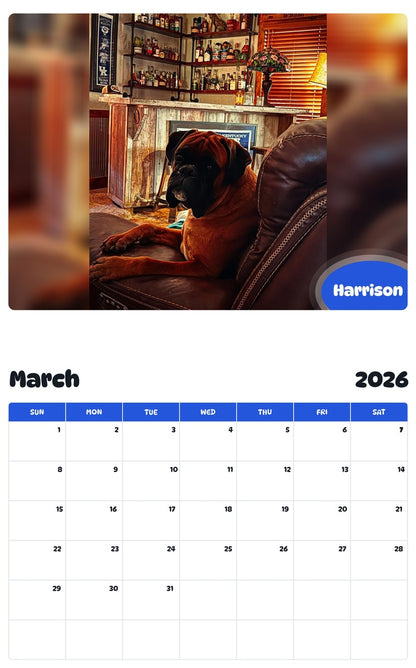 November 2025 - October 2026 Harrison - Pawidols Pet Calendar