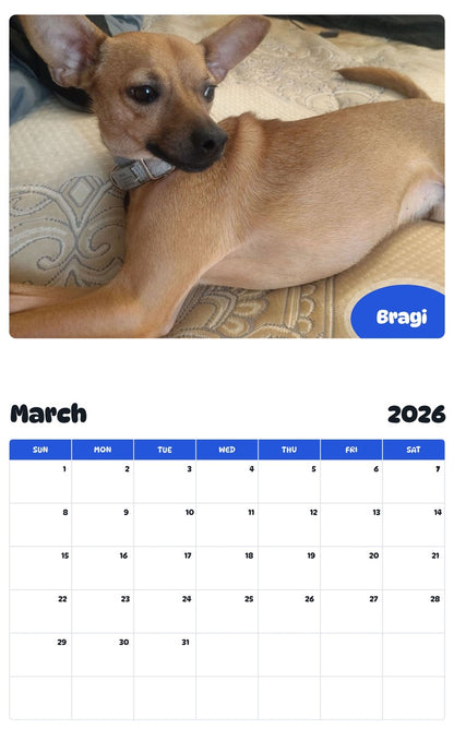 November 2025 - October 2026 Bragi - Pawidols Pet Calendar