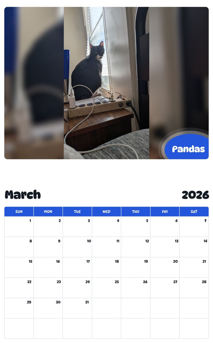 November 2025 - October 2026 Pandas - Pawidols Pet Calendar