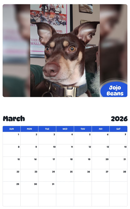 November 2025 - October 2026 Jojo Beans - Pawidols Pet Calendar