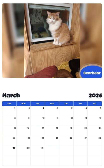November 2025 - October 2026 Bearbear - Pawidols Pet Calendar