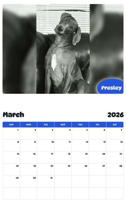 November 2025 - October 2026 Presley - Pawidols Pet Calendar
