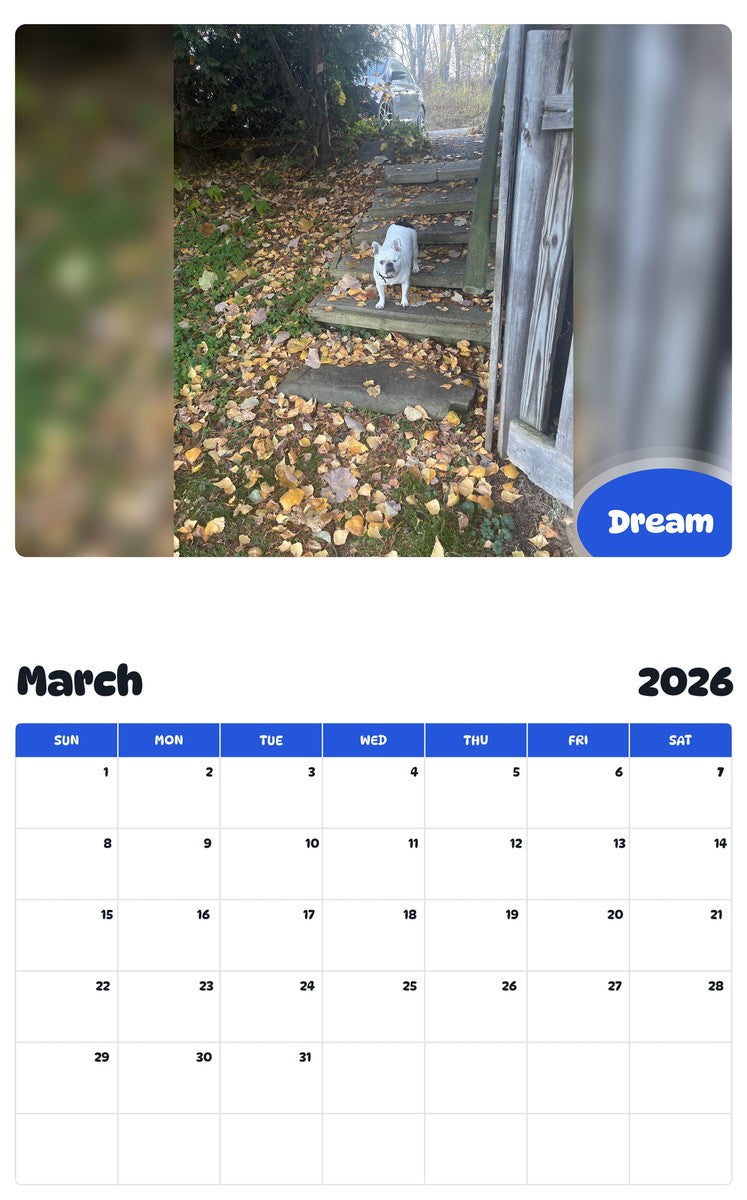November 2025 - October 2026 Dream - Pawidols Pet Calendar