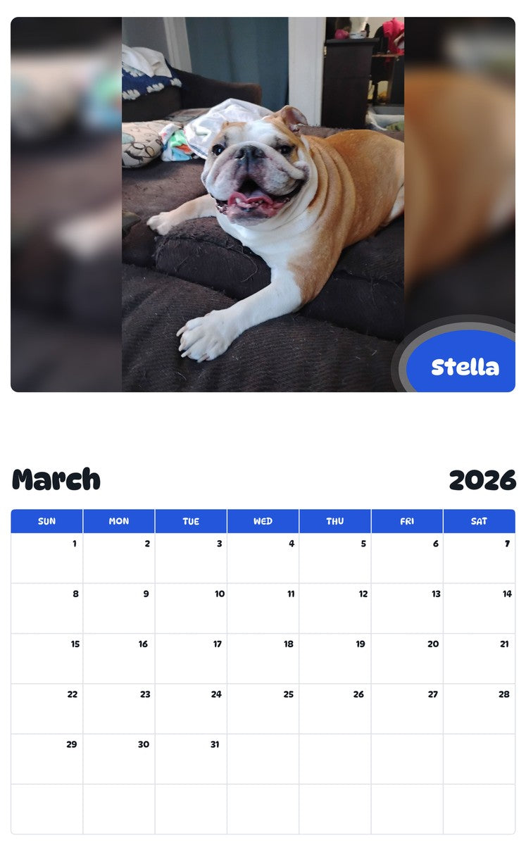 2026 - 2027 Stella - Pawidols Pet Calendar