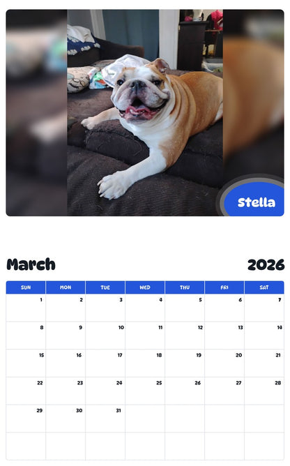 2026 - 2027 Stella - Pawidols Pet Calendar