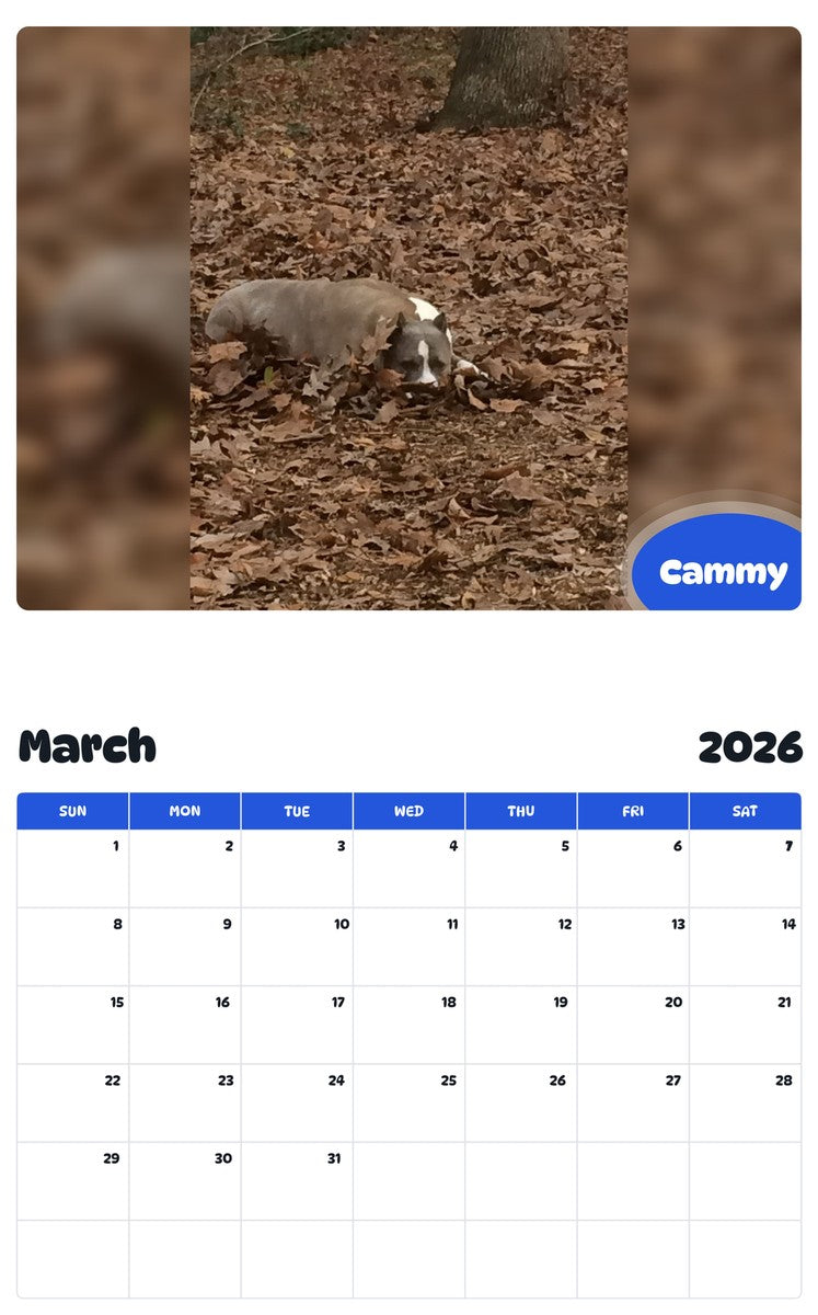 November 2025 - October 2026 Cammy - Pawidols Pet Calendar