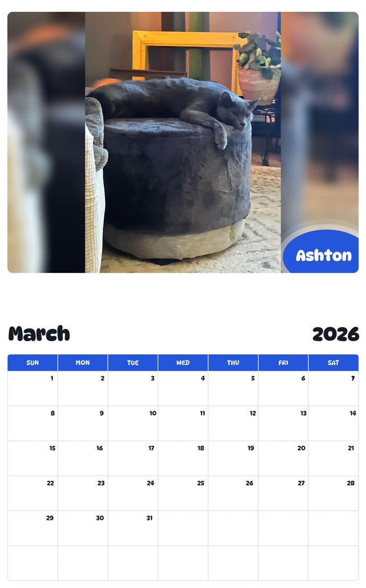 November 2025 - October 2026 Ashton - Pawidols Pet Calendar