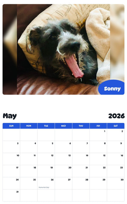 2026 - 2027 Sonny - Pawidols Pet Calendar