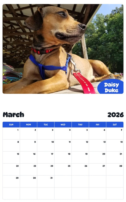 November 2025 - October 2026 Daisy Duke - Pawidols Pet Calendar