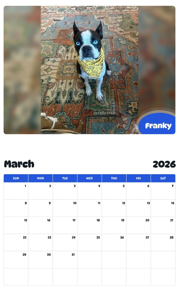 November 2025 - October 2026 Franky - Pawidols Pet Calendar
