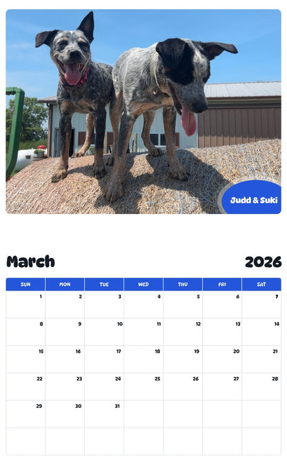 November 2025 - October 2026 Judd & Suki - Pawidols Pet Calendar