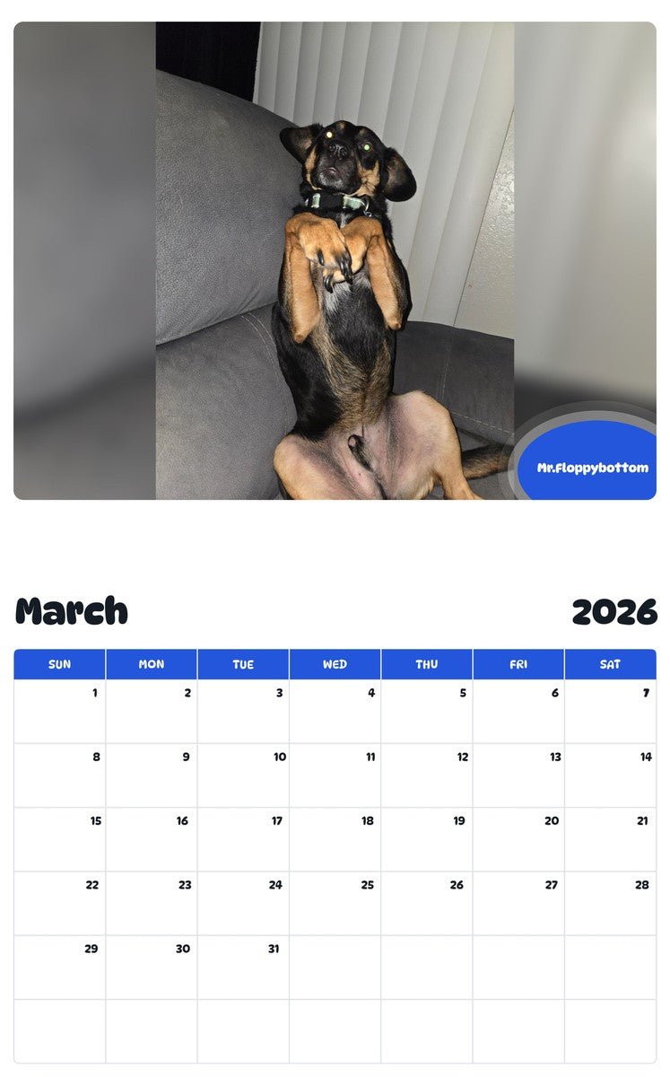 November 2025 - October 2026 Mr.Floppybottom - Pawidols Pet Calendar