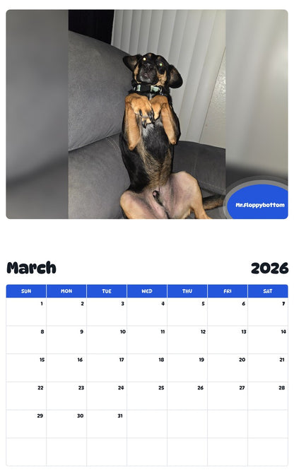 November 2025 - October 2026 Mr.Floppybottom - Pawidols Pet Calendar