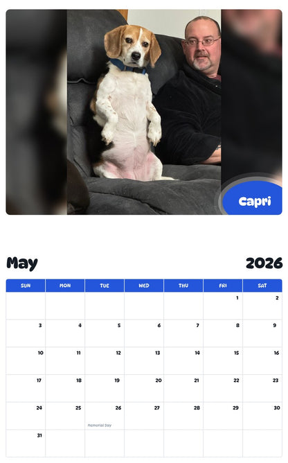2026 - 2027 Capri - Pawidols Pet Calendar