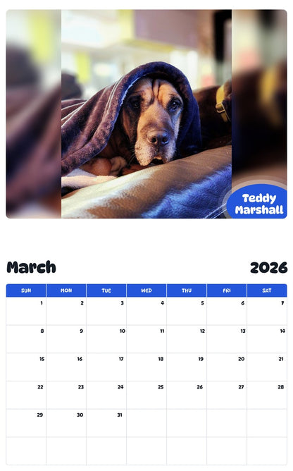 November 2025 - October 2026 Teddy Marshall - Pawidols Pet Calendar
