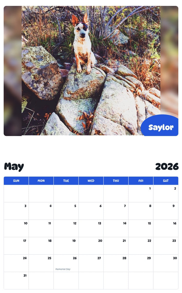 2026 - 2027 Saylor - Pawidols Pet Calendar