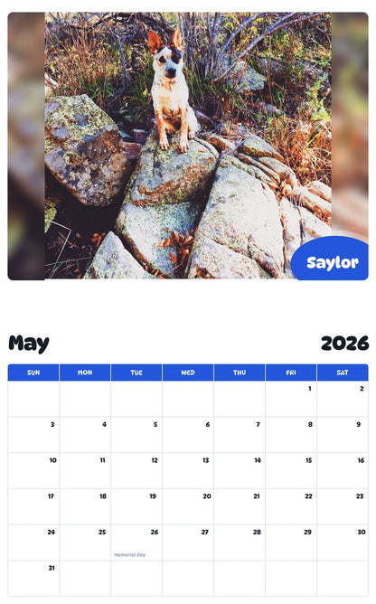 2026 - 2027 Saylor - Pawidols Pet Calendar