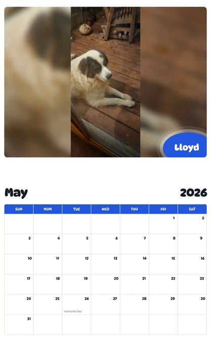 2026 - 2027 Lloyd - Pawidols Pet Calendar