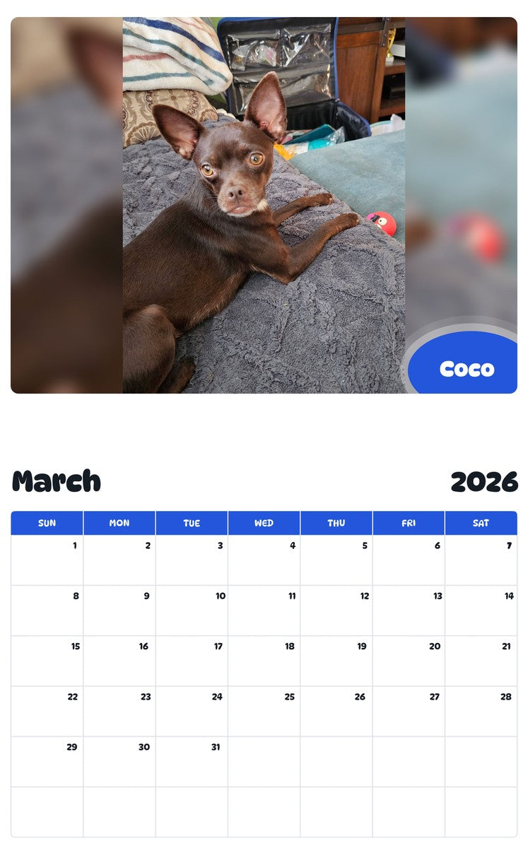 November 2025 - October 2026 Coco - Pawidols Pet Calendar