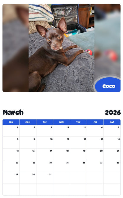 November 2025 - October 2026 Coco - Pawidols Pet Calendar