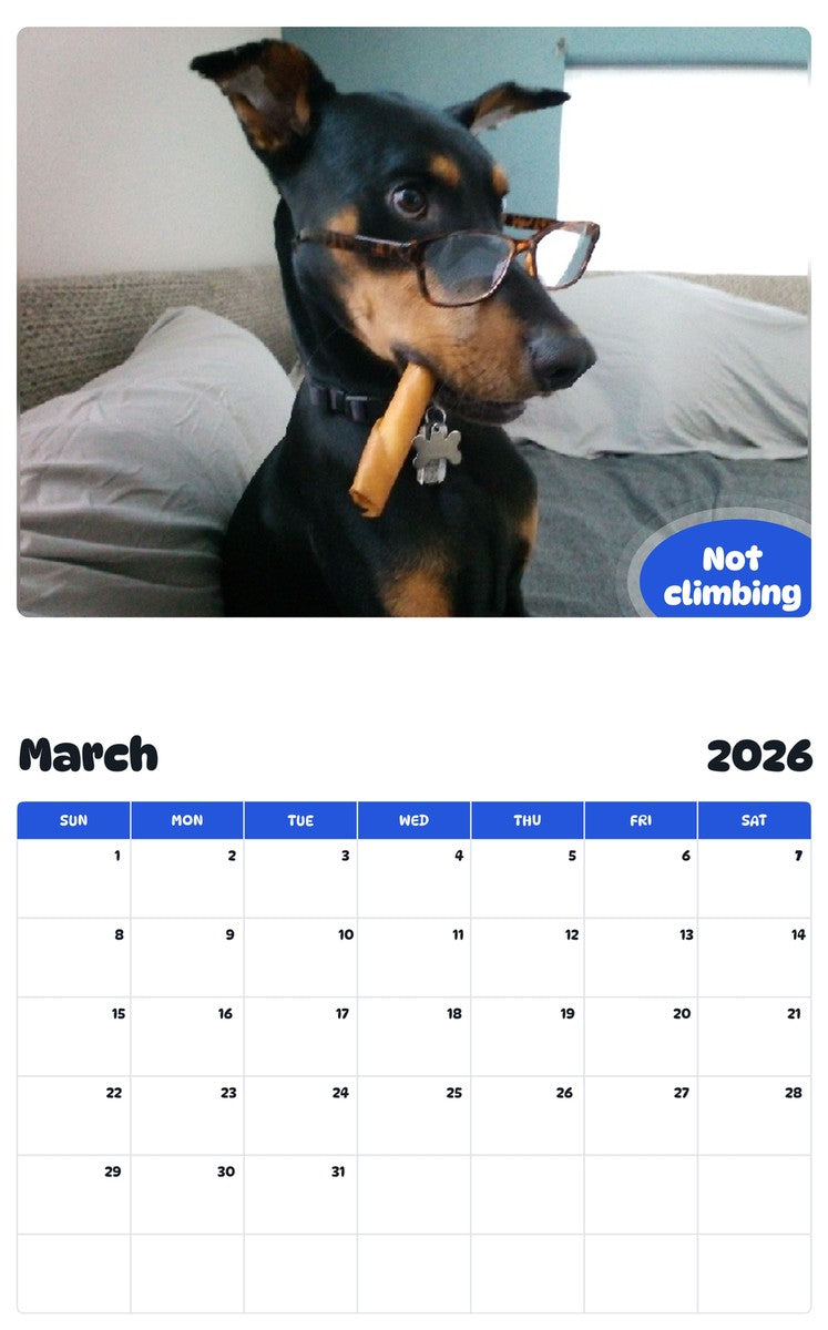 November 2025 - October 2026 Not climbing - Pawidols Pet Calendar