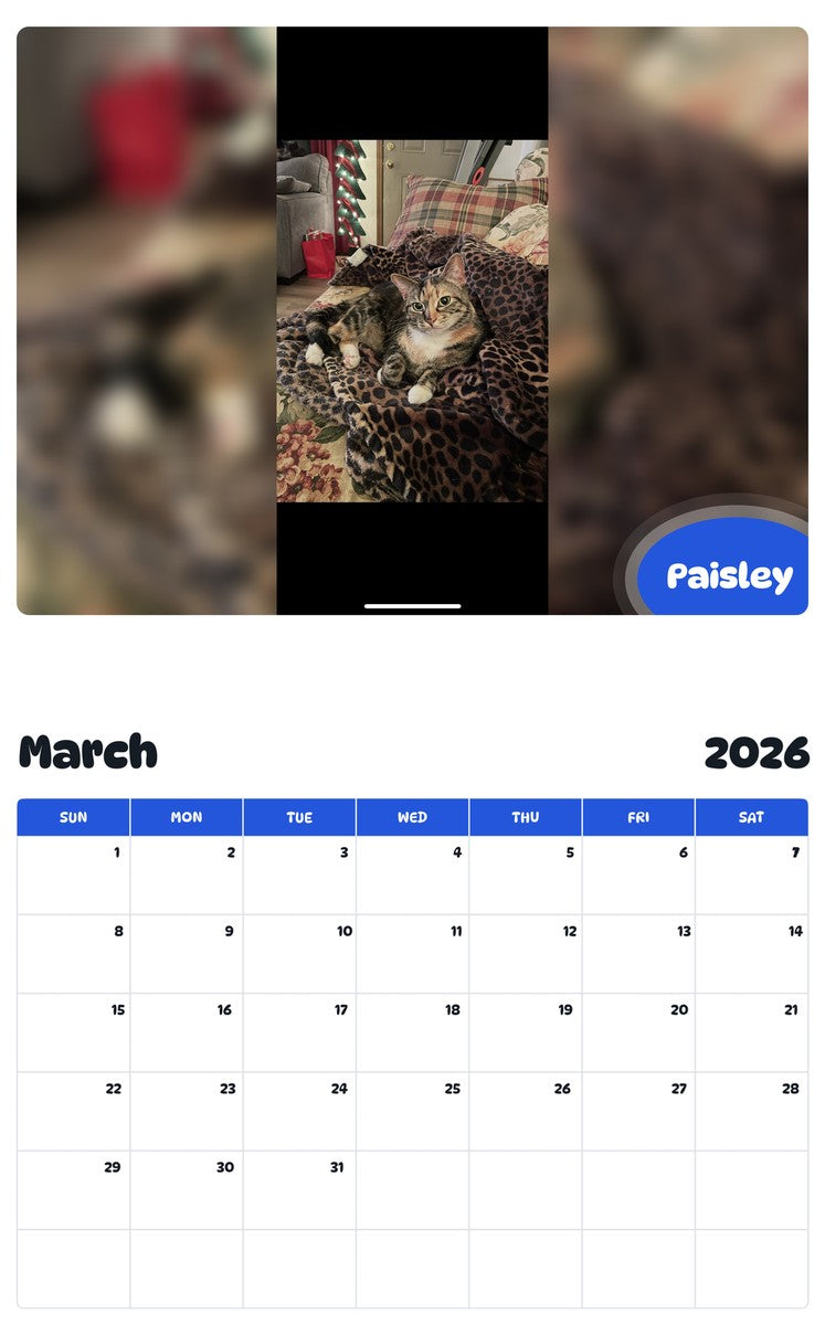 November 2025 - October 2026 Paisley - Pawidols Pet Calendar