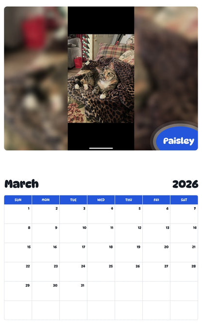 November 2025 - October 2026 Paisley - Pawidols Pet Calendar