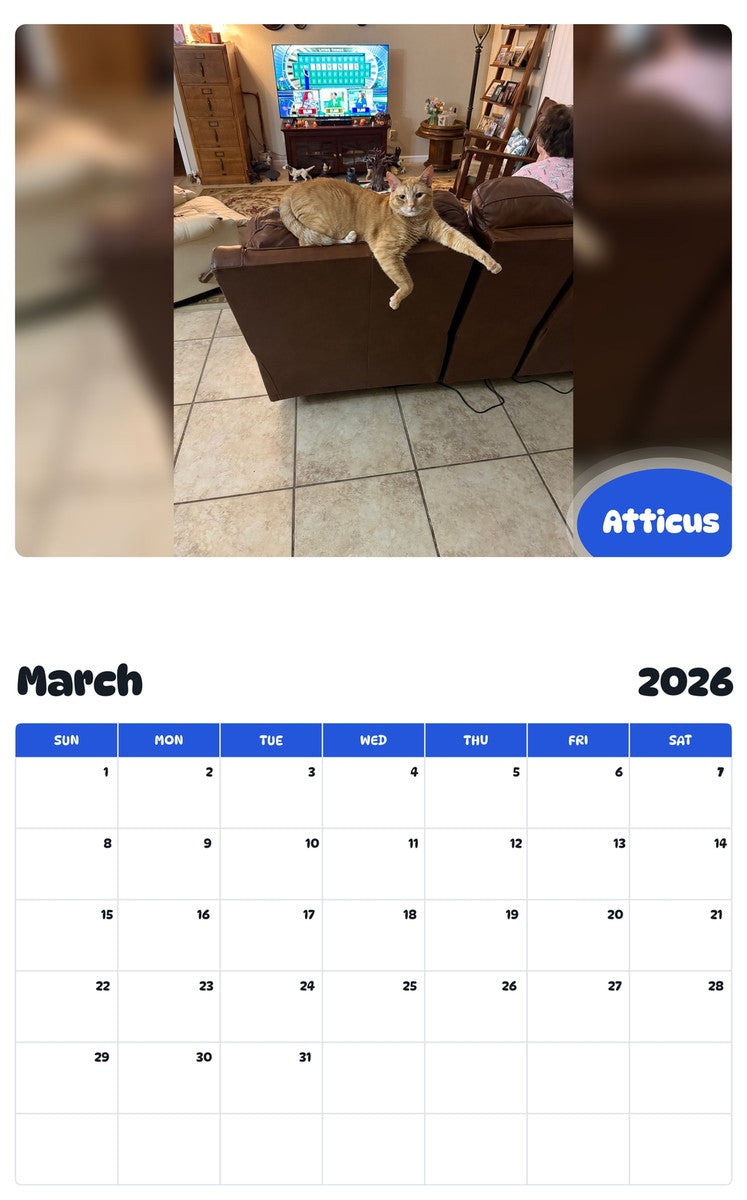 November 2025 - October 2026 Atticus - Pawidols Pet Calendar