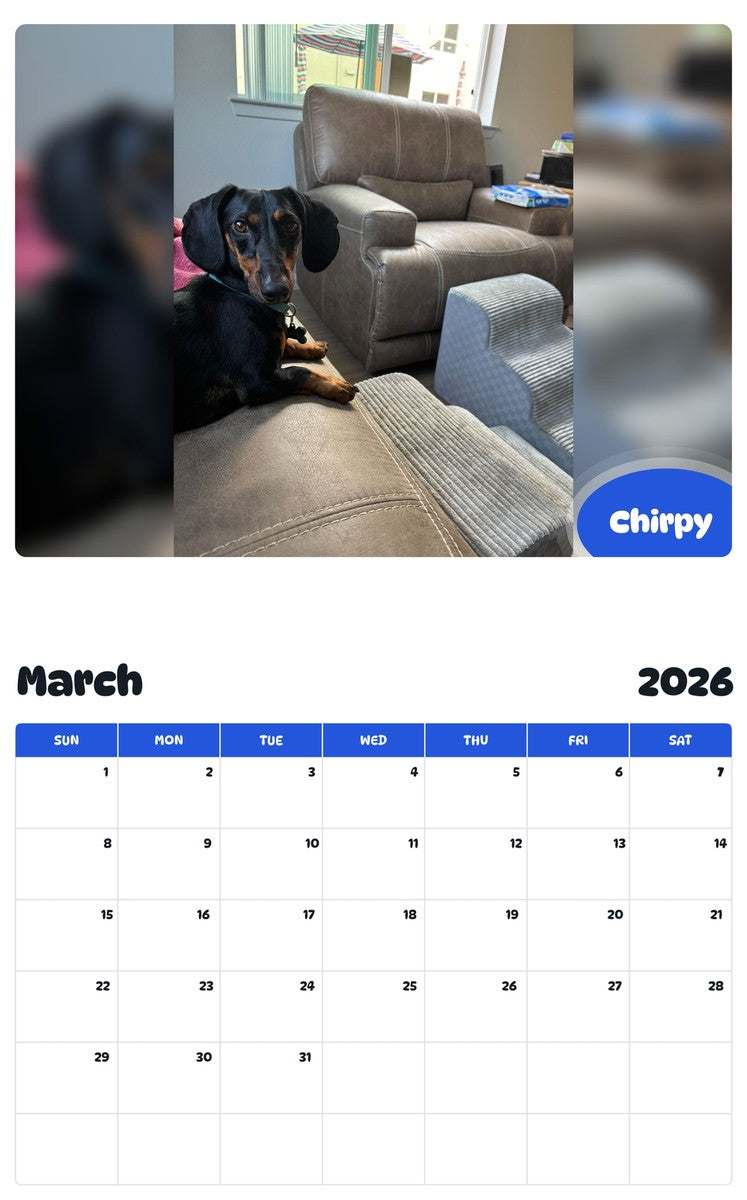 November 2025 - October 2026 Chirpy - Pawidols Pet Calendar