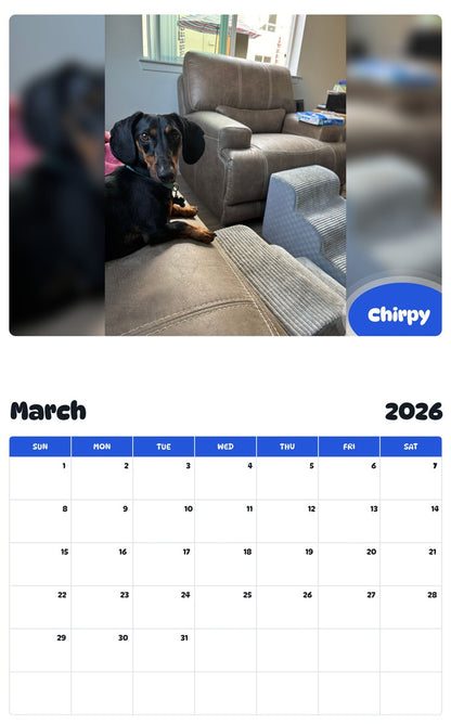 November 2025 - October 2026 Chirpy - Pawidols Pet Calendar