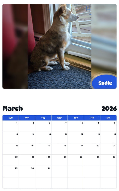November 2025 - October 2026 Sadie - Pawidols Pet Calendar