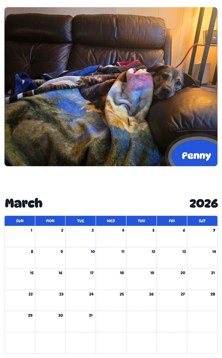 November 2025 - October 2026 Penny - Pawidols Pet Calendar