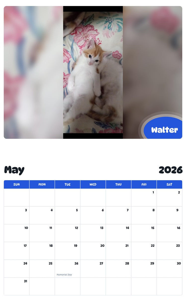 2026 - 2027 Walter - Pawidols Pet Calendar
