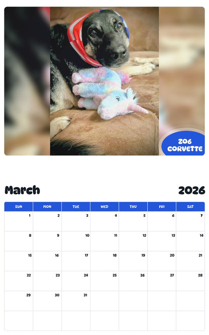 November 2025 - October 2026 ZO6 CORVETTE - Pawidols Pet Calendar