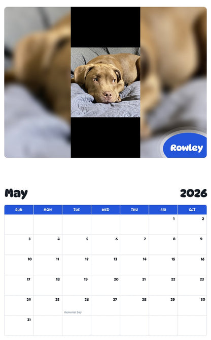 2026 - 2027 Rowley - Pawidols Pet Calendar