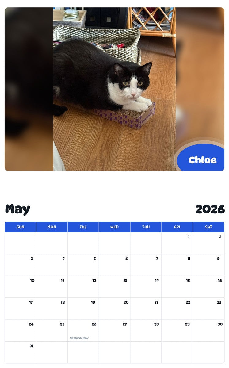 2026 - 2027 Chloe - Pawidols Pet Calendar