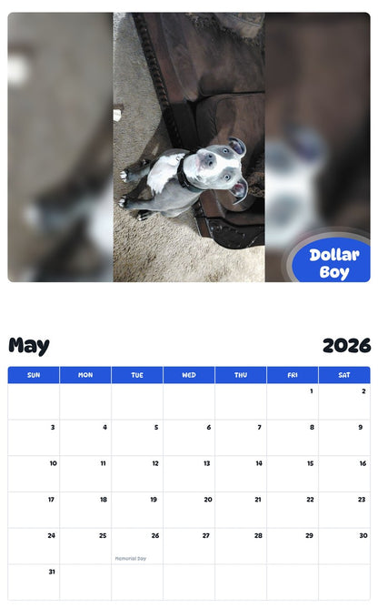 2026 - 2027 Dollar Boy - Pawidols Pet Calendar