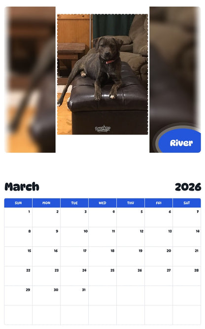November 2025 - October 2026 River - Pawidols Pet Calendar