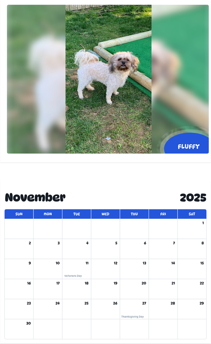 July 2025 - June 2026 Fluffy - Pawidols Pet Calendar
