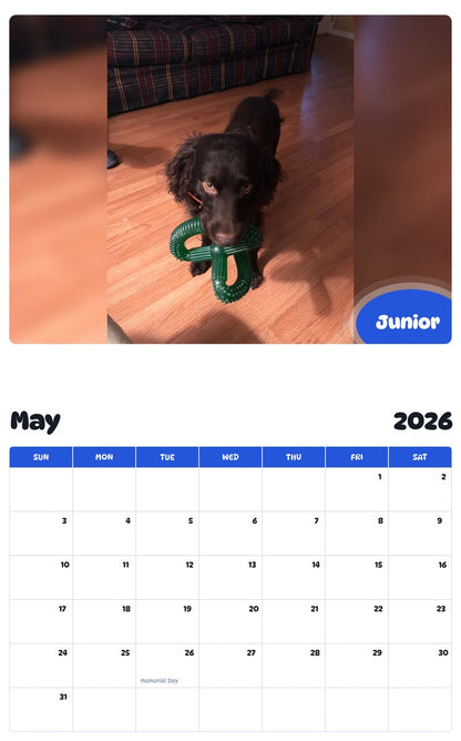 2026 - 2027 Junior - Pawidols Pet Calendar