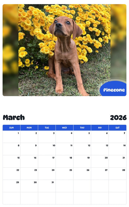 November 2025 - October 2026 Pinecone - Pawidols Pet Calendar