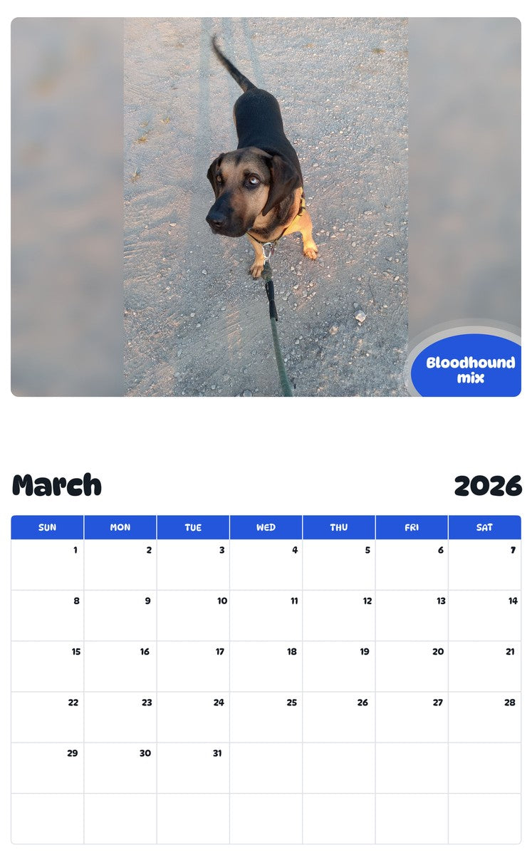 November 2025 - October 2026 Bloodhound mix - Pawidols Pet Calendar