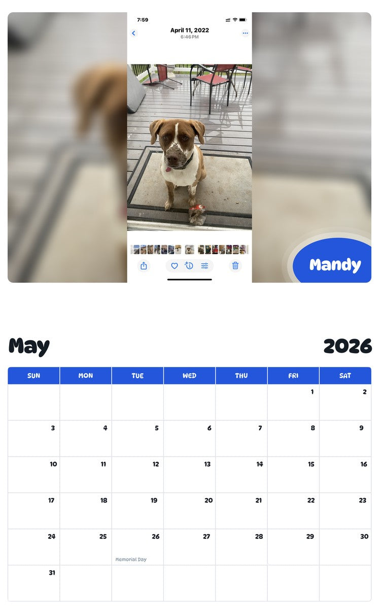 2026 - 2027 Mandy - Pawidols Pet Calendar
