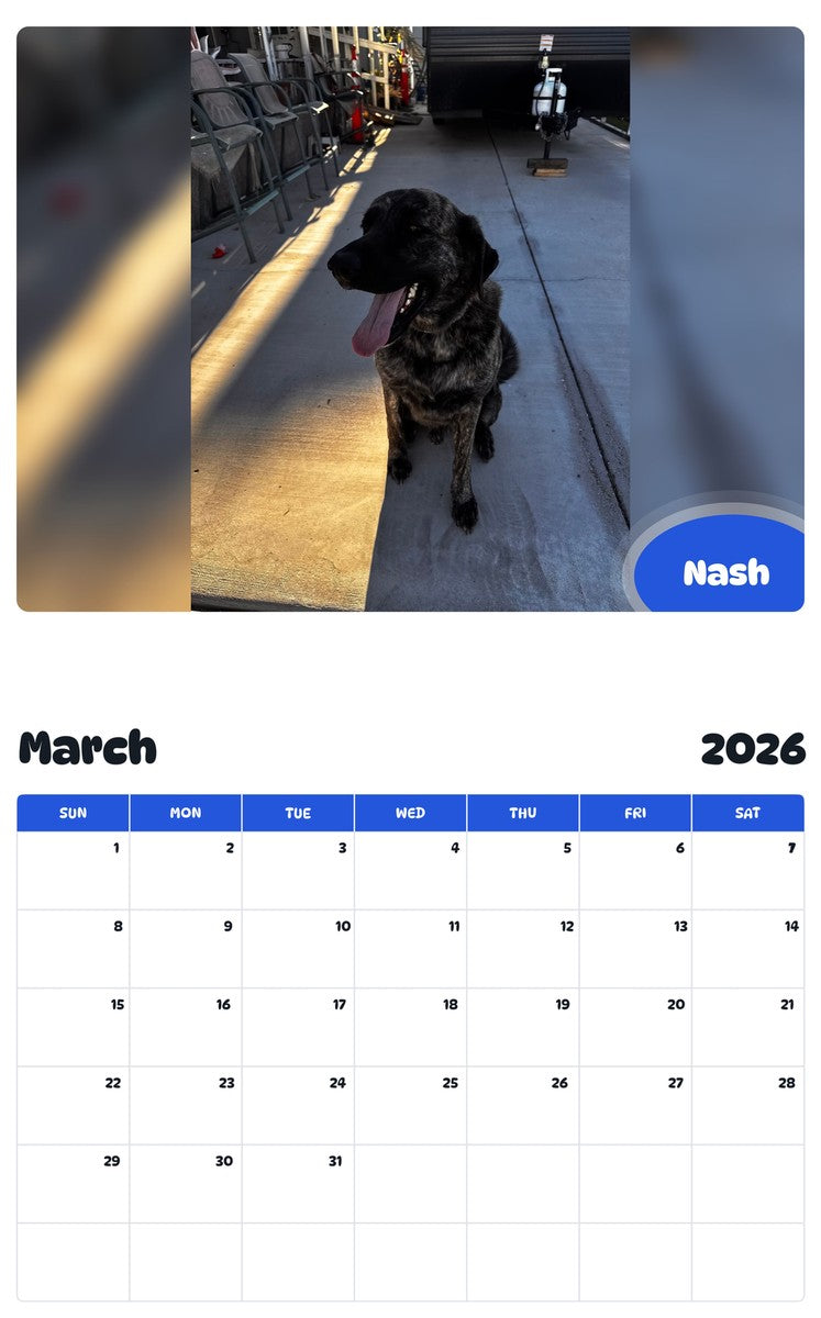 November 2025 - October 2026 Nash - Pawidols Pet Calendar