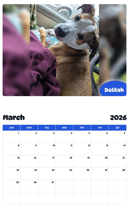 November 2025 - October 2026 Delilah - Pawidols Pet Calendar