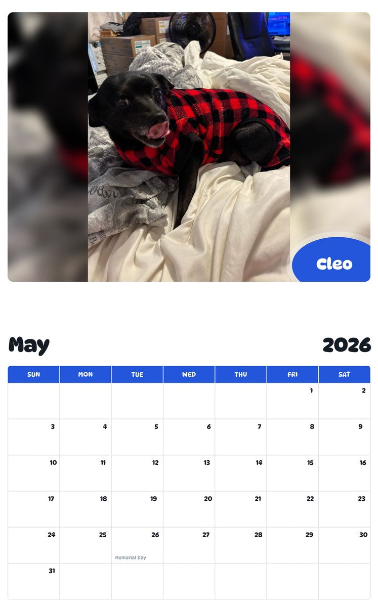 2026 - 2027 Cleo - Pawidols Pet Calendar
