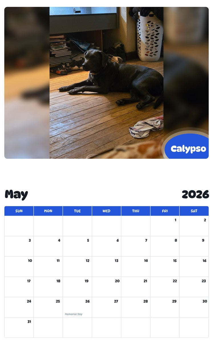 2026 - 2027 Calypso - Pawidols Pet Calendar
