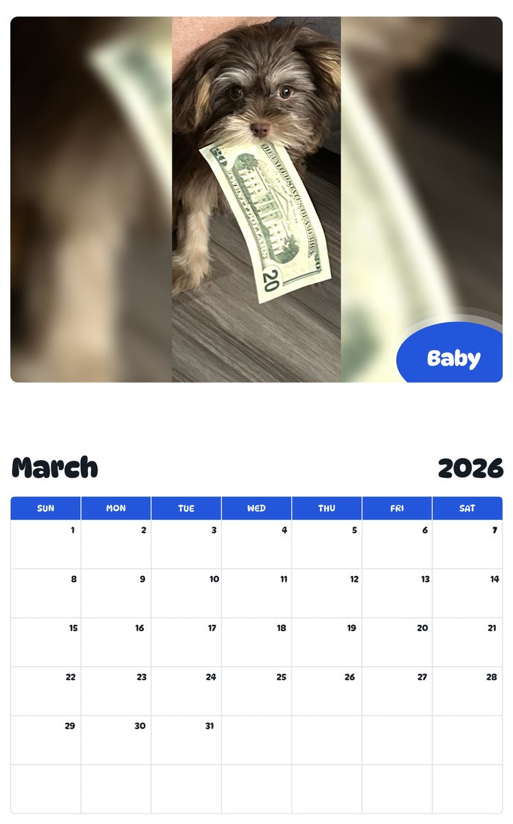 November 2025 - October 2026 Baby - Pawidols Pet Calendar