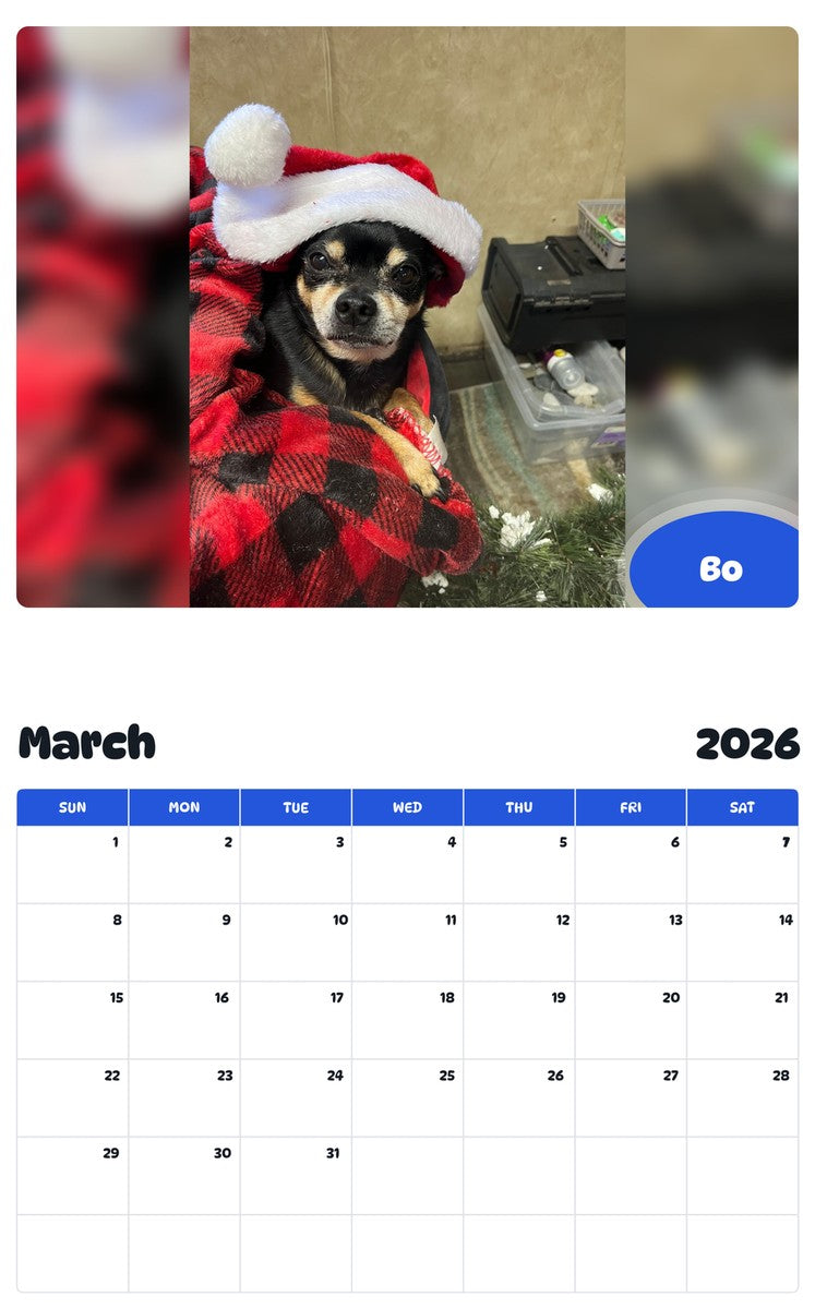 November 2025 - October 2026 Bo - Pawidols Pet Calendar