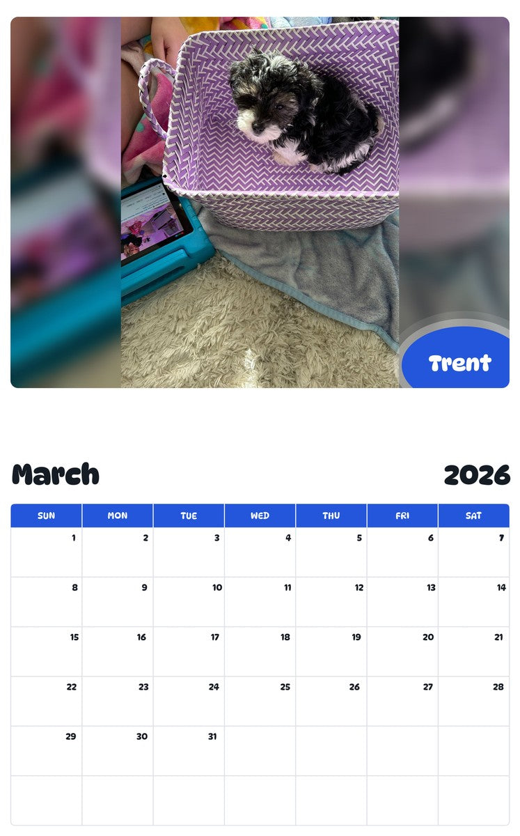November 2025 - October 2026 Trent - Pawidols Pet Calendar